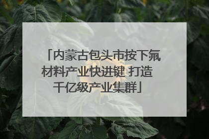 内蒙古包头市按下氟材料产业快进键 打造千亿级产业集群