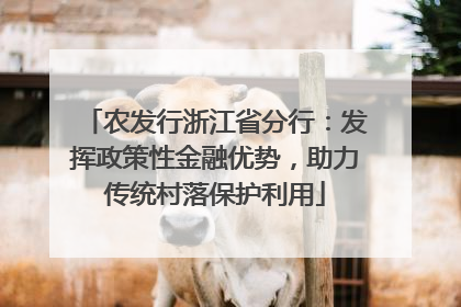 农发行浙江省分行：发挥政策性金融优势，助力传统村落保护利用