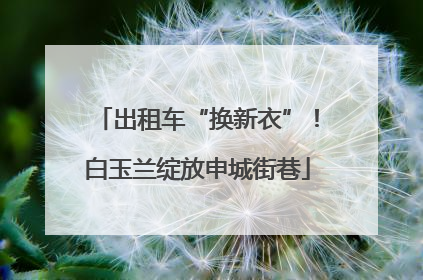 出租车“换新衣”！白玉兰绽放申城街巷