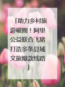 助力乡村旅游破圈！阿里公益联合飞猪打造多条县域文旅爆款线路