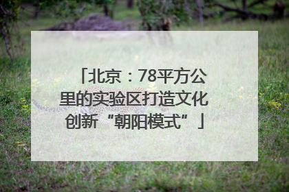 北京：78平方公里的实验区打造文化创新“朝阳模式”