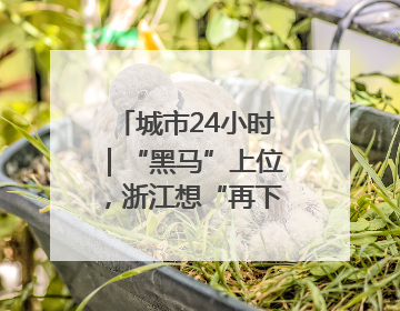 城市24小时｜“黑马”上位，浙江想“再下一城”
