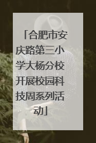 合肥市安庆路第三小学大杨分校开展校园科技周系列活动