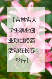 吉林省大学生就业创业项目路演活动在长春举行
