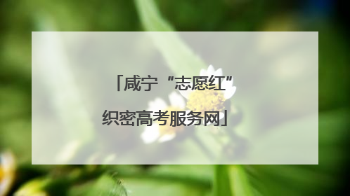咸宁“志愿红”织密高考服务网