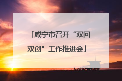 咸宁市召开“双回双创”工作推进会