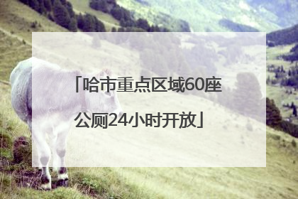 哈市重点区域60座公厕24小时开放