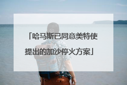 哈马斯已同意美特使提出的加沙停火方案