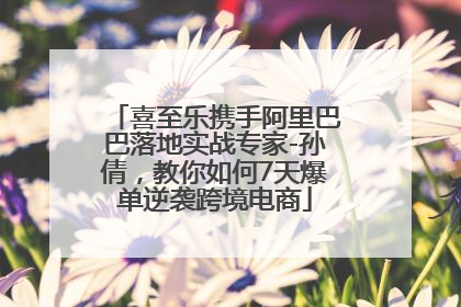 喜至乐携手阿里巴巴落地实战专家-孙倩，教你如何7天爆单逆袭跨境电商