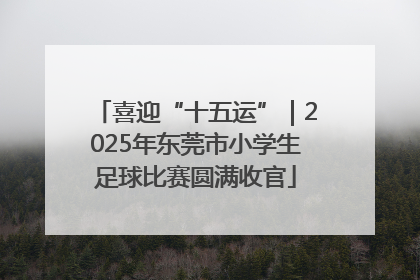 喜迎“十五运”｜2025年东莞市小学生足球比赛圆满收官