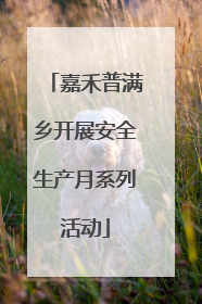 嘉禾普满乡开展安全生产月系列活动