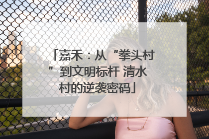嘉禾：从“拳头村”到文明标杆 清水村的逆袭密码