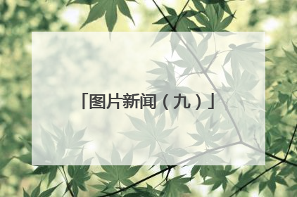 图片新闻（九）