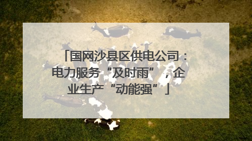国网沙县区供电公司：电力服务“及时雨”，企业生产“动能强”