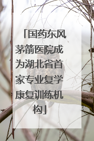 国药东风茅箭医院成为湖北省首家专业复学康复训练机构