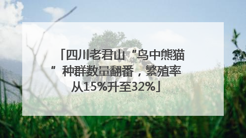四川老君山“鸟中熊猫”种群数量翻番，繁殖率从15%升至32%