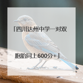 四川达州中学一对双胞胎同上600分+
