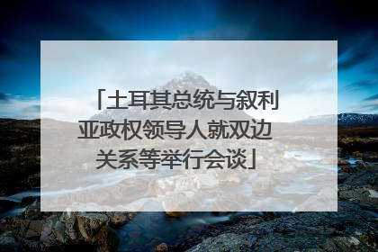 土耳其总统与叙利亚政权领导人就双边关系等举行会谈