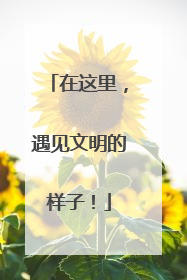 在这里，遇见文明的样子！