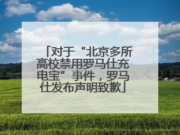 对于“北京多所高校禁用罗马仕充电宝”事件，罗马仕发布声明致歉
