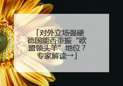 对外立场强硬 德国能否重振“欧盟领头羊”地位？专家解读→