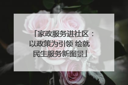 家政服务进社区：以政策为引领 绘就民生服务新图景