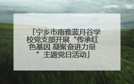 宁乡市南雅蓝月谷学校党支部开展“传承红色基因 凝聚奋进力量”主题党日活动