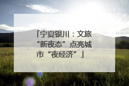 宁夏银川：文旅“新夜态”点亮城市“夜经济”