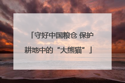 守好中国粮仓 保护耕地中的“大熊猫”