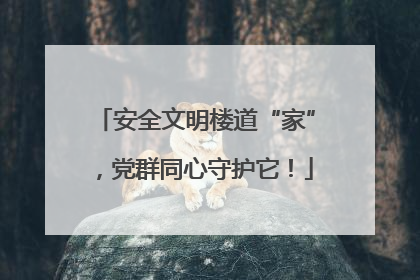 安全文明楼道“家”，党群同心守护它！