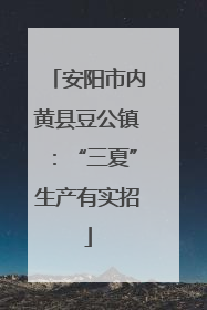 安阳市内黄县豆公镇：“三夏”生产有实招