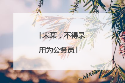 宋某，不得录用为公务员