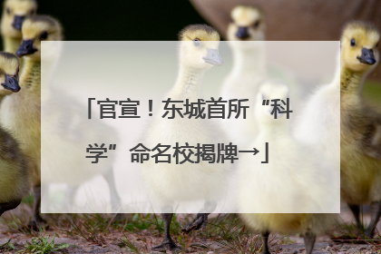 官宣！东城首所“科学”命名校揭牌→