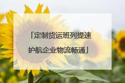 定制货运班列提速 护航企业物流畅通