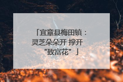 宜章县梅田镇：灵芝朵朵开 撑开“致富花”