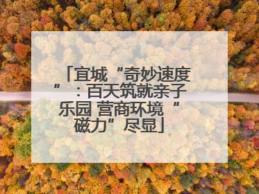 宜城“奇妙速度”：百天筑就亲子乐园 营商环境“磁力”尽显