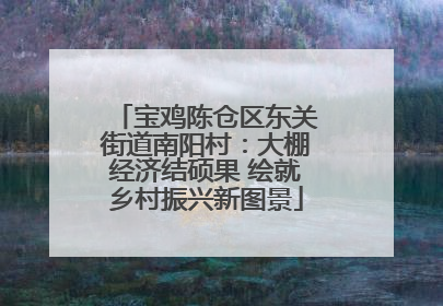 宝鸡陈仓区东关街道南阳村：大棚经济结硕果 绘就乡村振兴新图景
