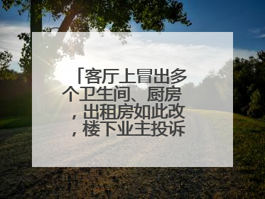 客厅上冒出多个卫生间、厨房，出租房如此改，楼下业主投诉：多少不舒服