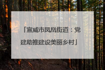 宣威市凤凰街道：党建助推建设美丽乡村