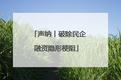 声纳丨破除民企融资隐形梗阻