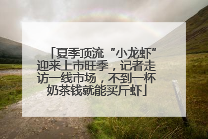 夏季顶流“小龙虾”迎来上市旺季，记者走访一线市场，不到一杯奶茶钱就能买斤虾
