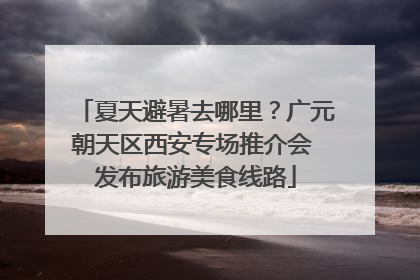 夏天避暑去哪里？广元朝天区西安专场推介会 发布旅游美食线路