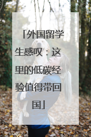 外国留学生感叹：这里的低碳经验值得带回国