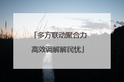 多方联动聚合力 高效调解解民忧