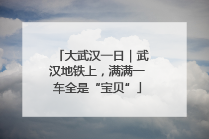 大武汉一日｜武汉地铁上，满满一车全是“宝贝”