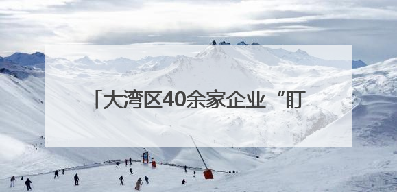 大湾区40余家企业“盯上”海口这场政策分享会