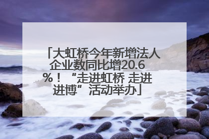 大虹桥今年新增法人企业数同比增20.6%！“走进虹桥 走进进博”活动举办