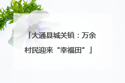 大通县城关镇：万余村民迎来“幸福田”