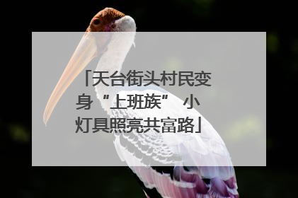 天台街头村民变身“上班族” 小灯具照亮共富路