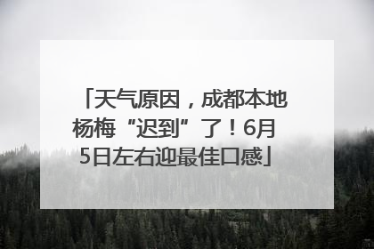 天气原因，成都本地杨梅“迟到”了！6月5日左右迎最佳口感